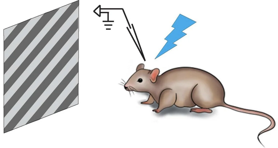 Optogenetics Figure